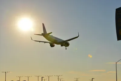 DSC_5697 (Large).JPG